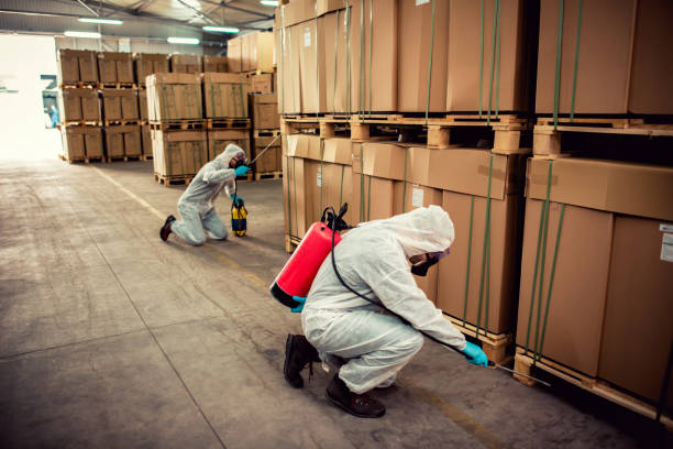 Best Pest Removal Services  in Bridgetown, OH