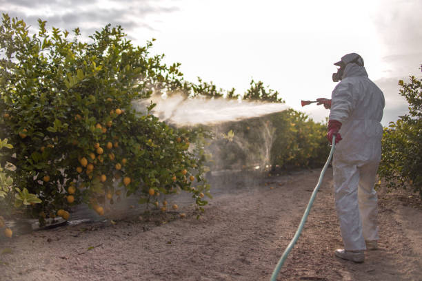 Best Cockroach Control Services  in Bridgetown, OH