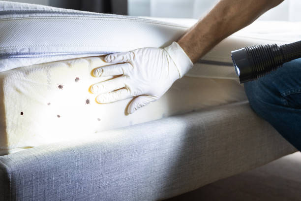 Best Affordable Pest Control Services  in Bridgetown, OH