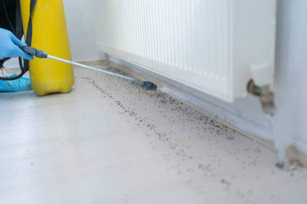 Pest Control Cost in Bridgetown, OH