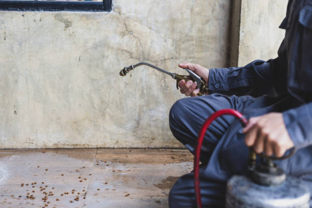 Best Flea Control Services  in Bridgetown, OH
